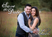 Denise & Adam, Save the Date