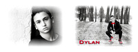 Dylan, the Album