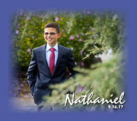 Nathaniel, the Album